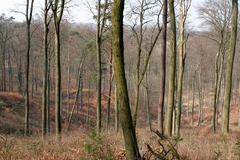 Killikus&reg; Fotographie